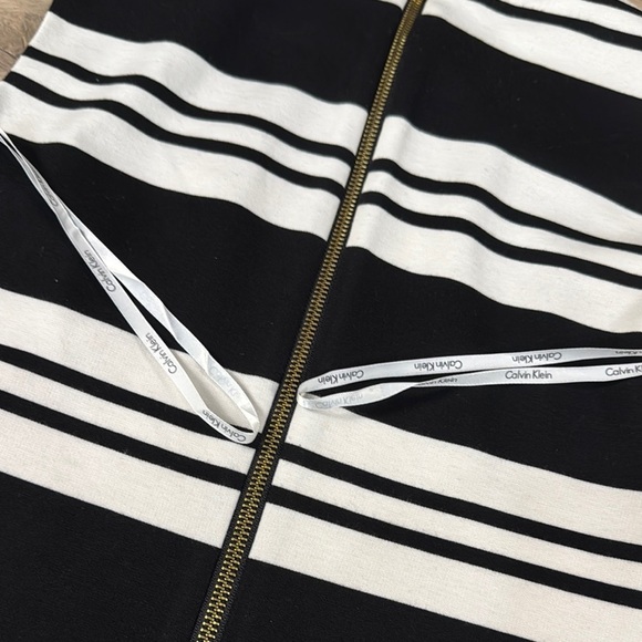 Calvin Klein Black and White Striped Sleeveless Sheath Dress with Gold Zipper - Picture 7 of 12